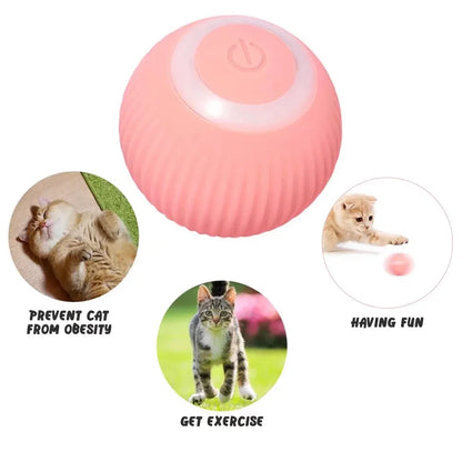 Smart Cat Rolling Ball  Toys